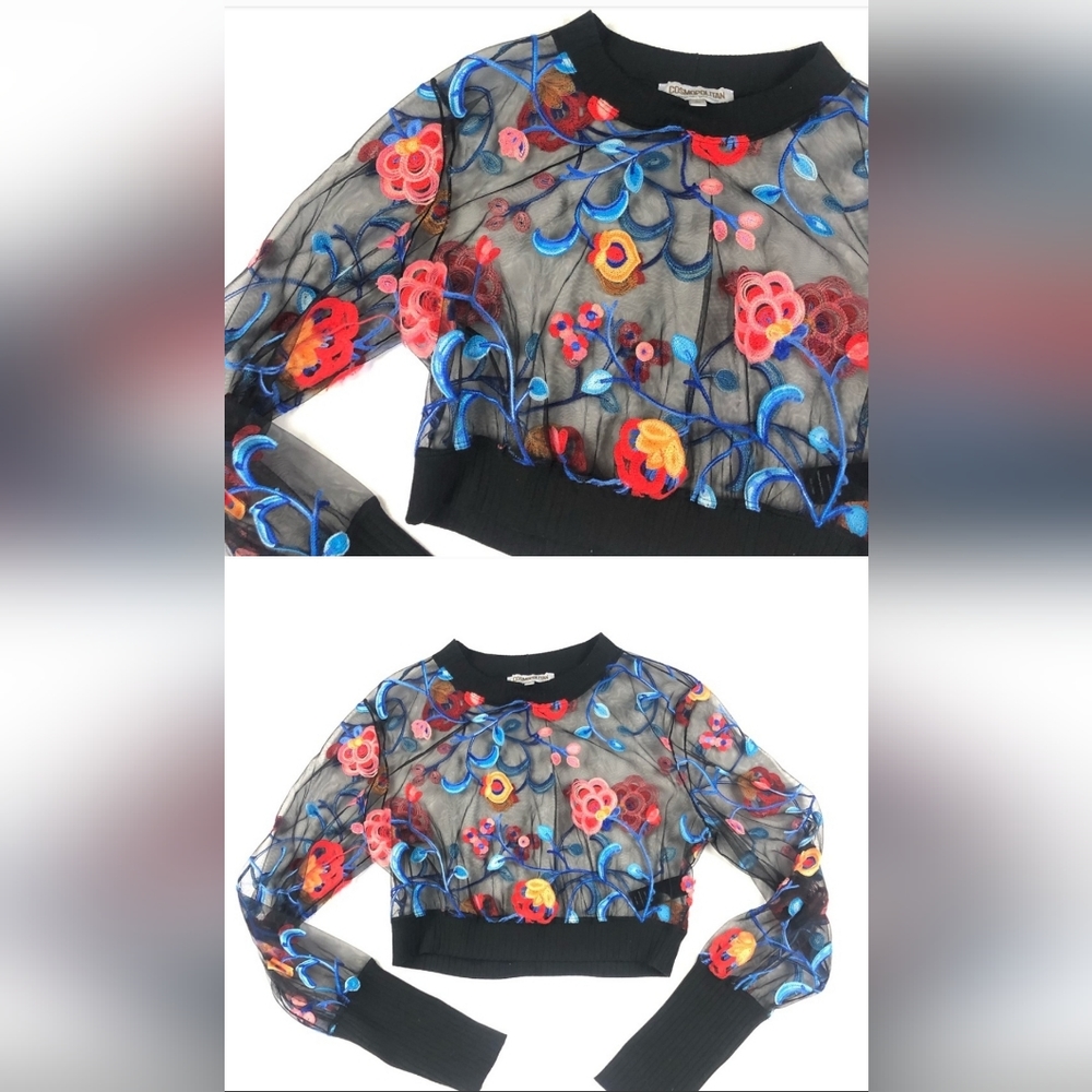 Dress the population cosmopolitan embroidered mesh long sleeve top size L